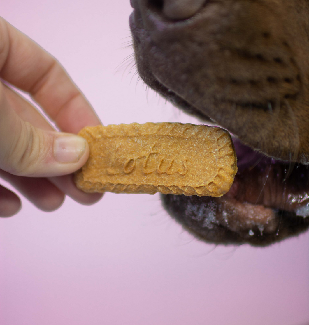 Biscwoof Coomkies 8pk