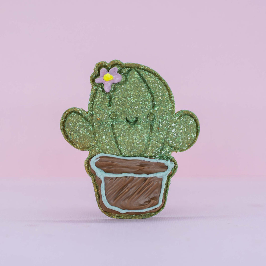 Cactus Coomkie